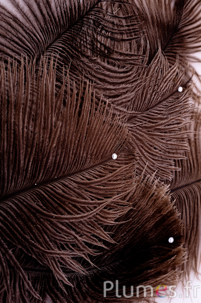 Mit Strass verzierte Schmuckfedern